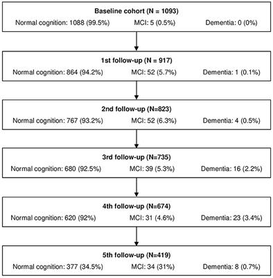Dimensions of cognitive reserve and their predictive power of cognitive performance and decline in the elderly